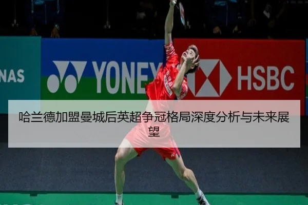 ha-lan-de-jia-meng-man-cheng-hou-ying-chao-zheng-guan-ge-ju-shen-du-fen-xi-yu-wei-lai-zhan-wang-2-685.jpg