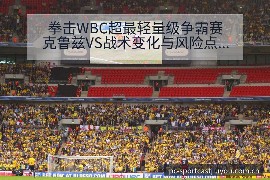 拳击WBC超最轻量级争霸赛克鲁兹VS战术变化与风险点前瞻 - 九游体育APP